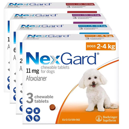 NexGard Flea & Tick Chewables for Dogs