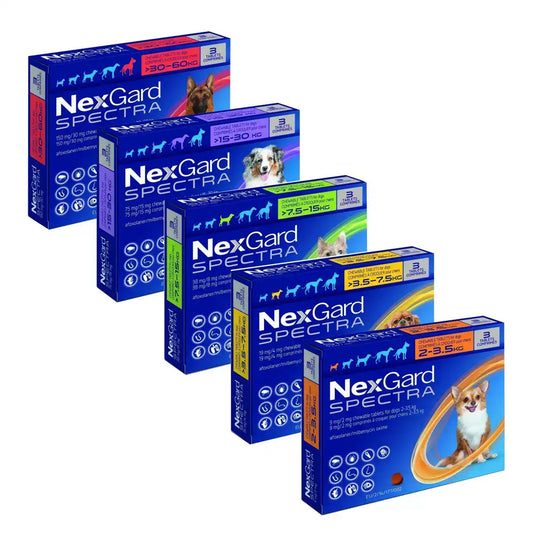 NexGard Spectra Chewable Tablets for Dogs